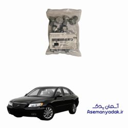 پیچ کارتل آزرا هیوندا
