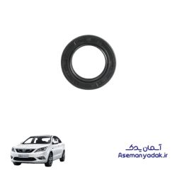 کاسه نمد سر میلنگ چانگان ایدو