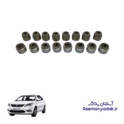 لاستیک ساق سوپاپ چانگان ایدو