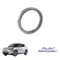 کاسه نمد ته میلنگ سانگ یانگ تیوولی