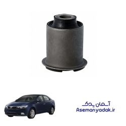 بوش طبق کوچک کیا سراتو