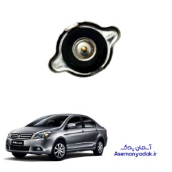درب رادیاتور گریت وال ولکس C30