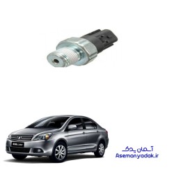 فشنگی روغن ولکس C30