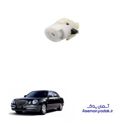 مغزی سوئیچ کیا اپیروس