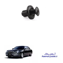 خار پیچی کیا اپیروس