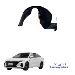 شلگیر جلو آریزو 8