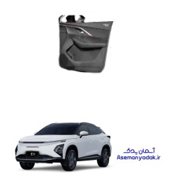 رودری فونیکس FX EV