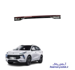 طلق خطر صندوق لاماری