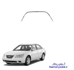 زه دو طرف و یو شکل سوناتا ۲۰۱۰