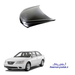 کاپوت سوناتا 2009