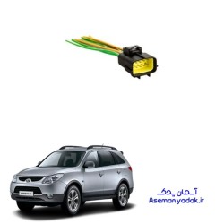 سوکت وراکروز ۲۰۱۰