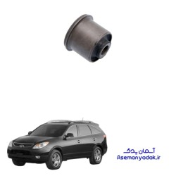 بوش عقب وراکروز